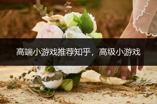 高端小游戏推荐知乎，高级小游戏