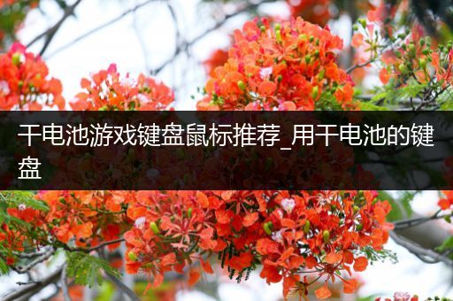 干电池游戏键盘鼠标推荐_用干电池的键盘