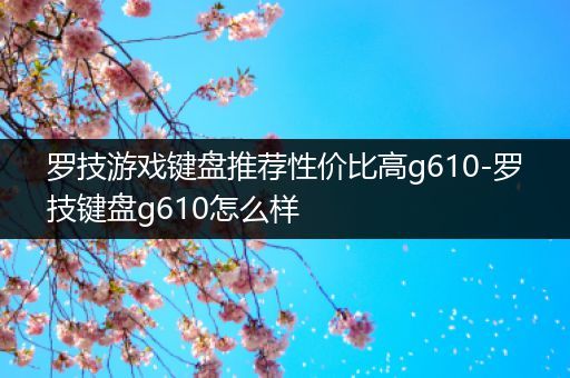 罗技游戏键盘推荐性价比高g610-罗技键盘g610怎么样