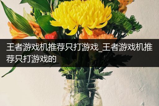 王者游戏机推荐只打游戏_王者游戏机推荐只打游戏的