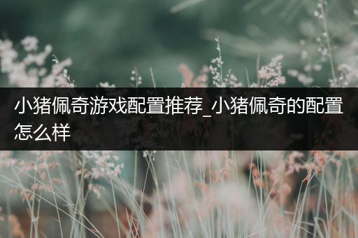 小猪佩奇游戏配置推荐_小猪佩奇的配置怎么样