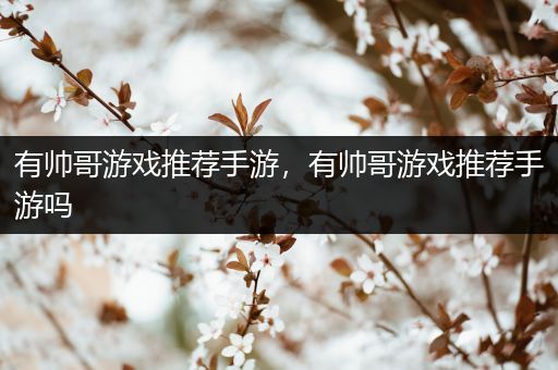 有帅哥游戏推荐手游，有帅哥游戏推荐手游吗