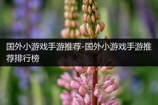 国外小游戏手游推荐-国外小游戏手游推荐排行榜
