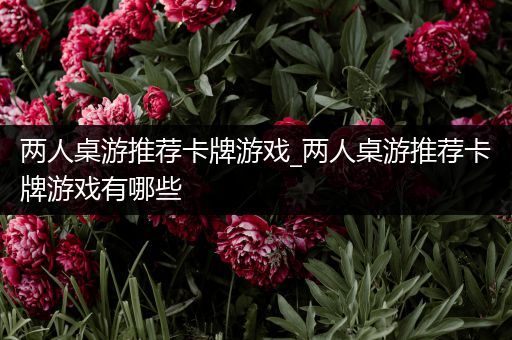 两人桌游推荐卡牌游戏_两人桌游推荐卡牌游戏有哪些