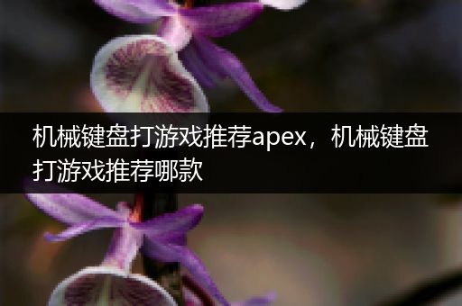 机械键盘打游戏推荐apex，机械键盘打游戏推荐哪款