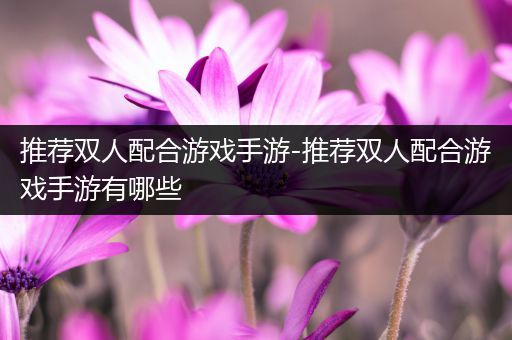 推荐双人配合游戏手游-推荐双人配合游戏手游有哪些