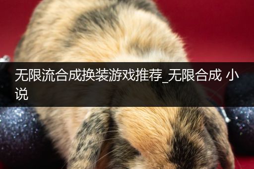 无限流合成换装游戏推荐_无限合成 小说
