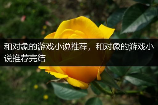 和对象的游戏小说推荐，和对象的游戏小说推荐完结