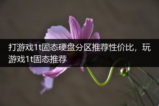 打游戏1t固态硬盘分区推荐性价比，玩游戏1t固态推荐