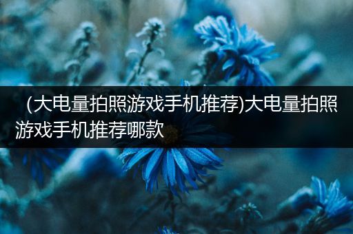 （大电量拍照游戏手机推荐)大电量拍照游戏手机推荐哪款