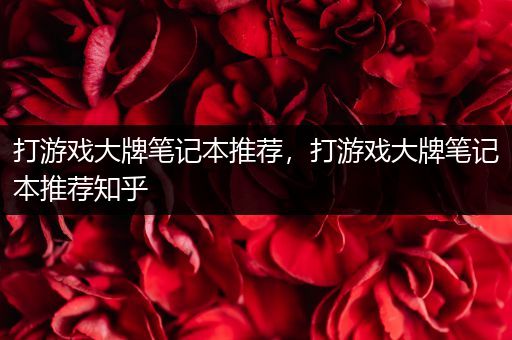 打游戏大牌笔记本推荐，打游戏大牌笔记本推荐知乎