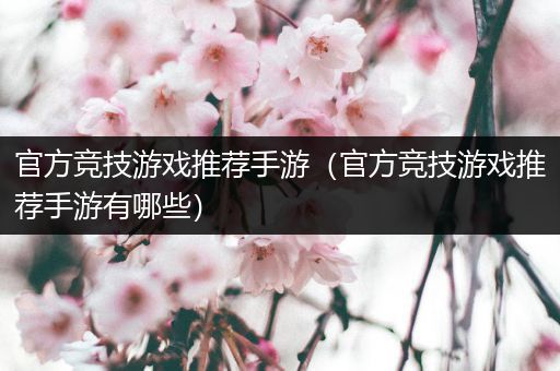 官方竞技游戏推荐手游（官方竞技游戏推荐手游有哪些）