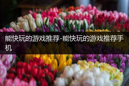 能快玩的游戏推荐-能快玩的游戏推荐手机