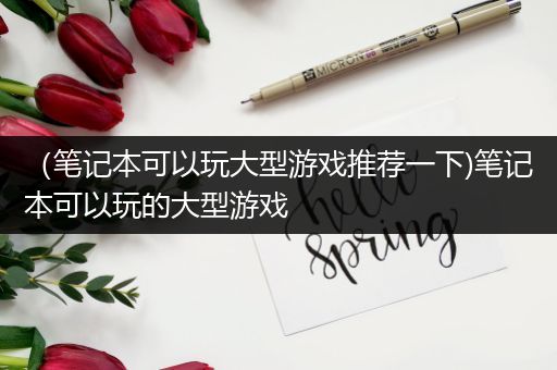 （笔记本可以玩大型游戏推荐一下)笔记本可以玩的大型游戏