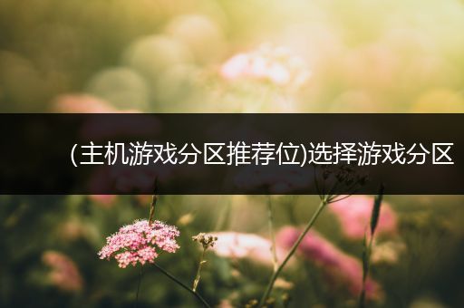 （主机游戏分区推荐位)选择游戏分区