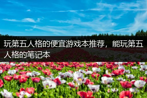 玩第五人格的便宜游戏本推荐，能玩第五人格的笔记本