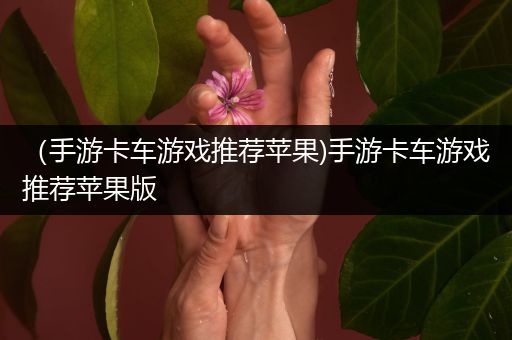 （手游卡车游戏推荐苹果)手游卡车游戏推荐苹果版