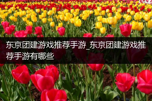 东京团建游戏推荐手游_东京团建游戏推荐手游有哪些