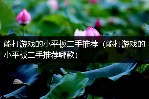 能打游戏的小平板二手推荐（能打游戏的小平板二手推荐哪款）