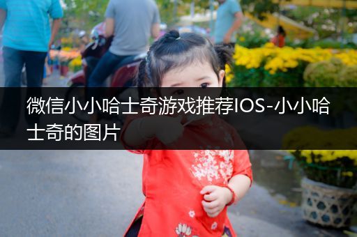 微信小小哈士奇游戏推荐IOS-小小哈士奇的图片
