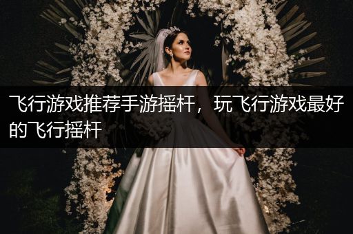飞行游戏推荐手游摇杆，玩飞行游戏最好的飞行摇杆