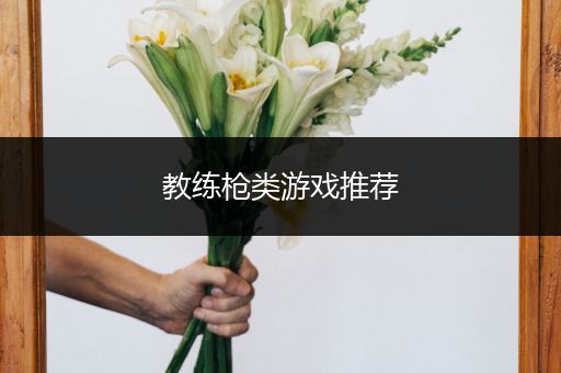 教练枪类游戏推荐