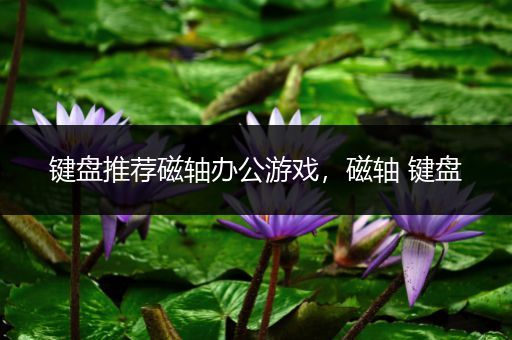 键盘推荐磁轴办公游戏，磁轴 键盘