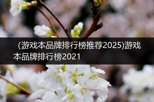 （游戏本品牌排行榜推荐2025)游戏本品牌排行榜2021