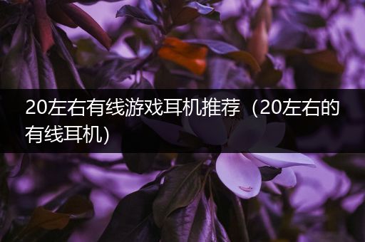 20左右有线游戏耳机推荐（20左右的有线耳机）