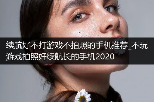 续航好不打游戏不拍照的手机推荐_不玩游戏拍照好续航长的手机2020