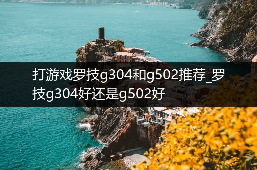 打游戏罗技g304和g502推荐_罗技g304好还是g502好