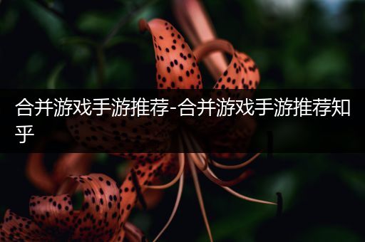 合并游戏手游推荐-合并游戏手游推荐知乎