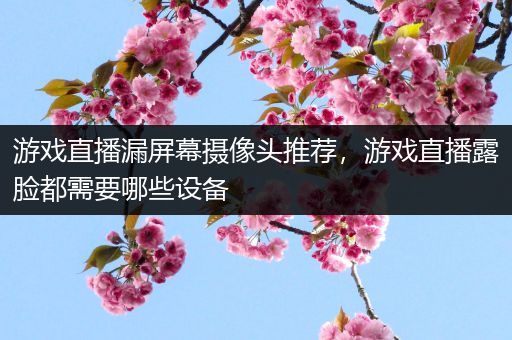 游戏直播漏屏幕摄像头推荐，游戏直播露脸都需要哪些设备
