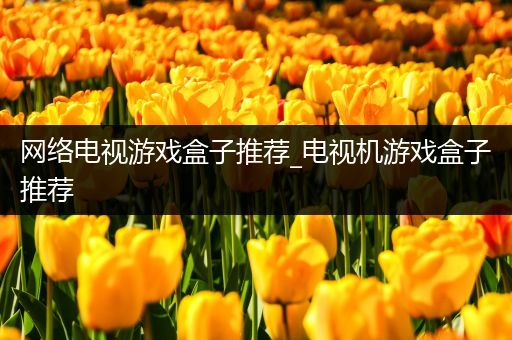 网络电视游戏盒子推荐_电视机游戏盒子推荐