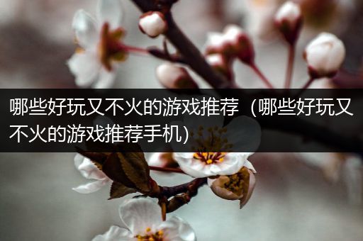 哪些好玩又不火的游戏推荐（哪些好玩又不火的游戏推荐手机）