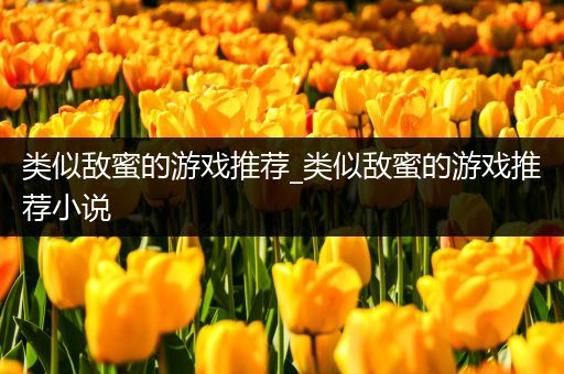 类似敌蜜的游戏推荐_类似敌蜜的游戏推荐小说