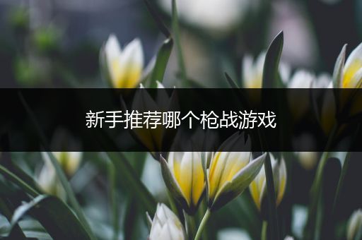 新手推荐哪个枪战游戏