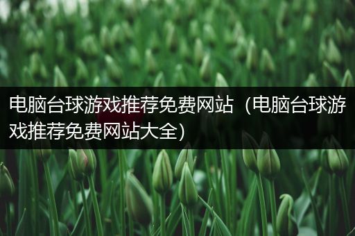 电脑台球游戏推荐免费网站（电脑台球游戏推荐免费网站大全）