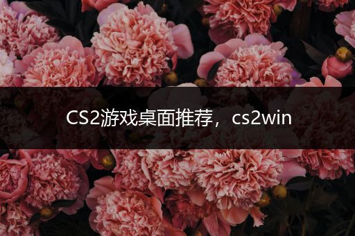 CS2游戏桌面推荐，cs2win