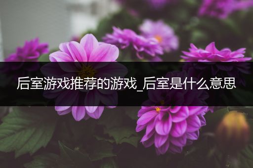 后室游戏推荐的游戏_后室是什么意思