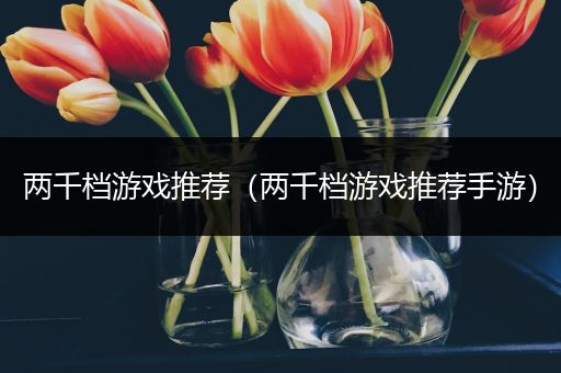 两千档游戏推荐（两千档游戏推荐手游）