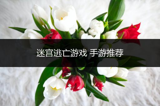 迷宫逃亡游戏 手游推荐
