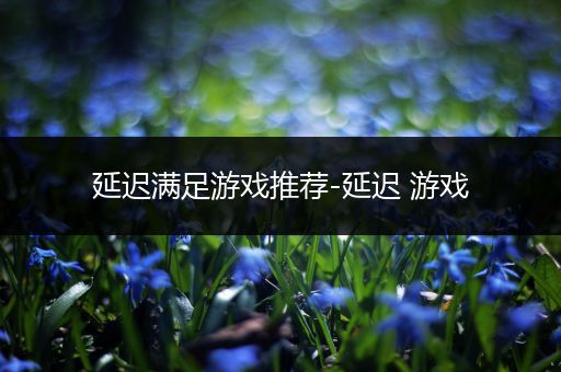 延迟满足游戏推荐-延迟 游戏