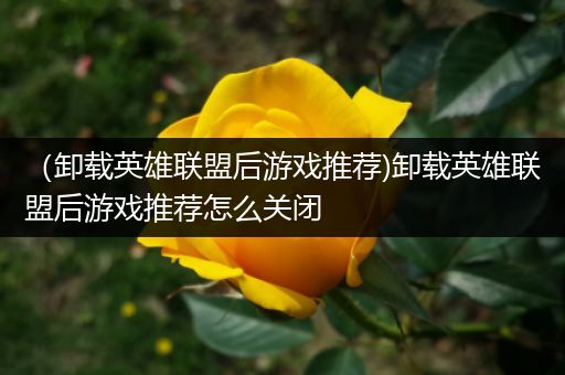 （卸载英雄联盟后游戏推荐)卸载英雄联盟后游戏推荐怎么关闭