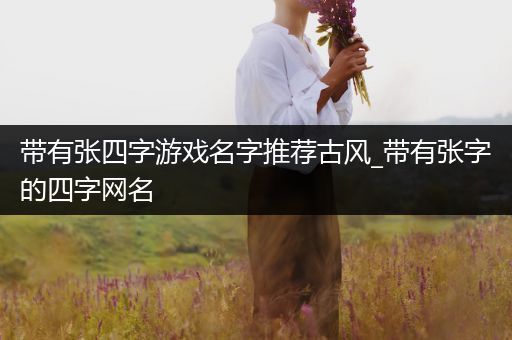 带有张四字游戏名字推荐古风_带有张字的四字网名