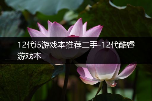 12代i5游戏本推荐二手-12代酷睿游戏本