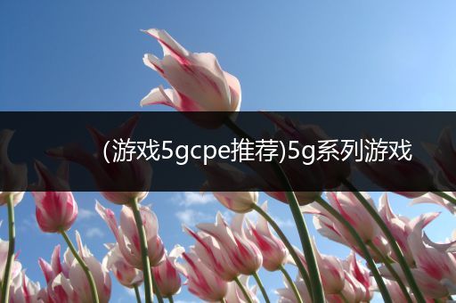 （游戏5gcpe推荐)5g系列游戏