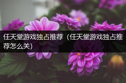 任天堂游戏独占推荐（任天堂游戏独占推荐怎么关）