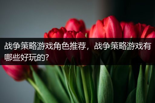 战争策略游戏角色推荐，战争策略游戏有哪些好玩的?
