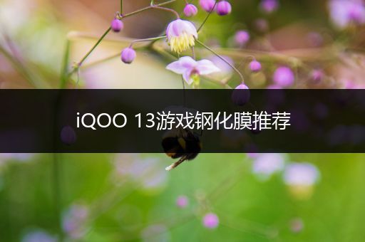 iQOO 13游戏钢化膜推荐
